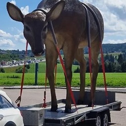 Du finner nå Terapidyr/Hagedyr på  www.hagedyr.no