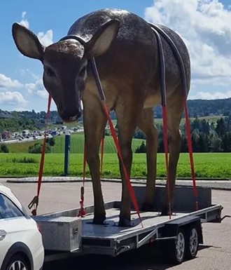 Du finner nå Terapidyr/Hagedyr på www.hagedyr.no